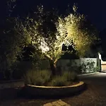 Piccolo Paradiso Línia