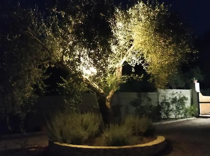 Piccolo Paradiso Línia