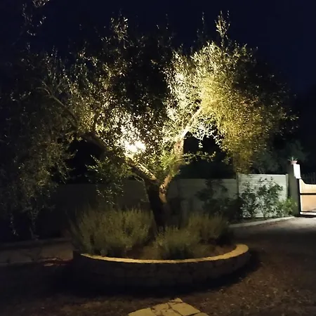 Piccolo Paradiso Línia